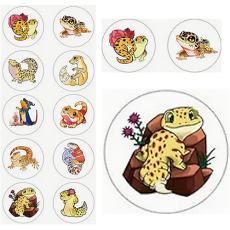 Lizard Cartoon Stickers - Assorted - Roll of 50's